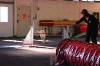 23.10.2011 Agility for Fun Turnier Iserlohn 1