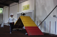 23.10.2011 Agility for Fun Turnier Iserlohn 1