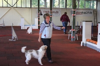 23.10.2011 Agility for Fun Turnier Iserlohn 1