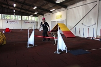 2011 CBF-Dogs
