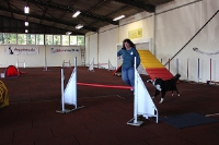 2011 CBF-Dogs