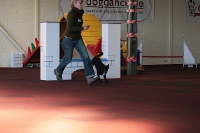 2011 CBF-Dogs