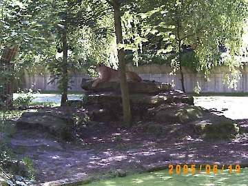 Allwetterzoo 19.06.2005