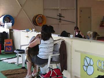 2008 CBF-Dogs