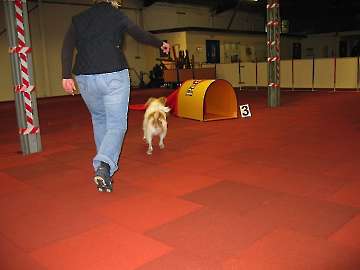 Clubtreffen 20.10.2008