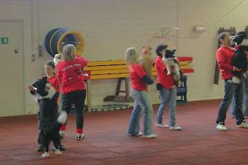 2008 CBF-Dogs