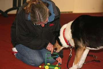 2009 CBF-Dogs