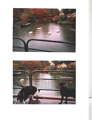 Allwetterzoo Münster 23.10.2004