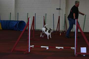 17.04.2011 Agility for Funturnier Iserlohn