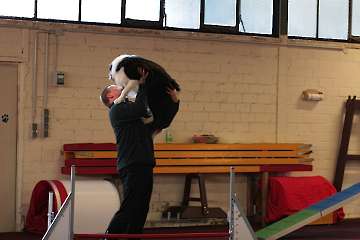 2011 CBF-Dogs