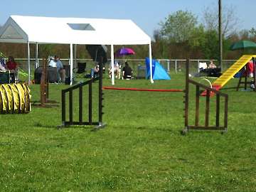 2007 CBF-Dogs